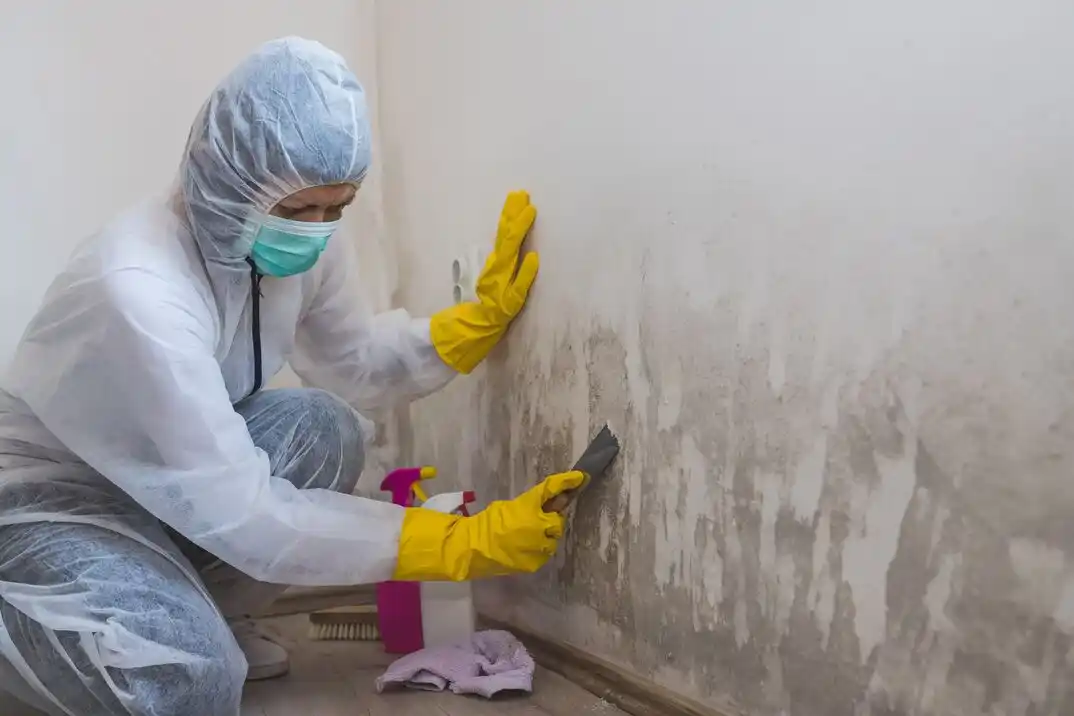 water damage restoration service Beckett